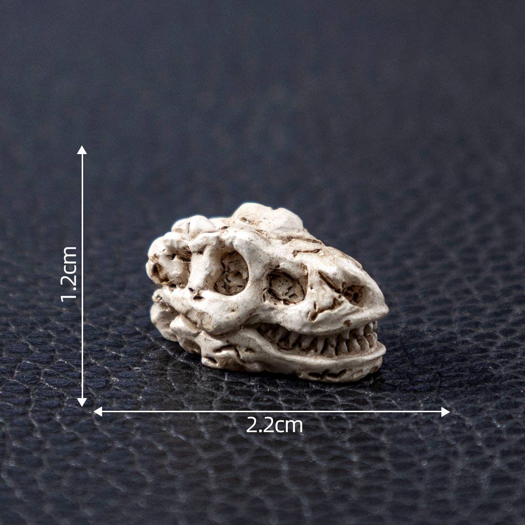 Spooky Crow Animal Skull Skeleton Halloween Miniature