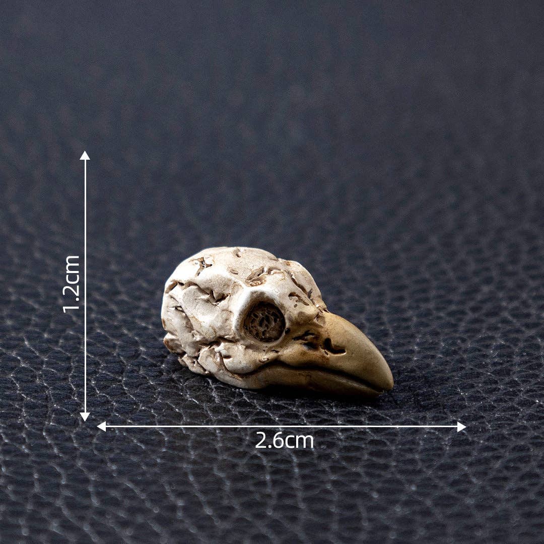 Spooky Crow Animal Skull Skeleton Halloween Miniature