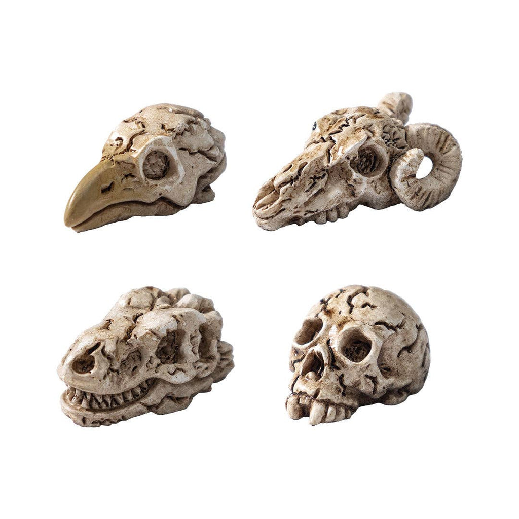 Spooky Crow Animal Skull Skeleton Halloween Miniature