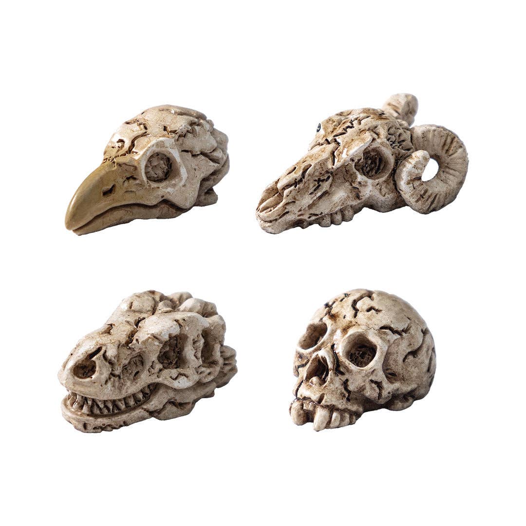 Spooky Crow Animal Skull Skeleton Halloween Miniature
